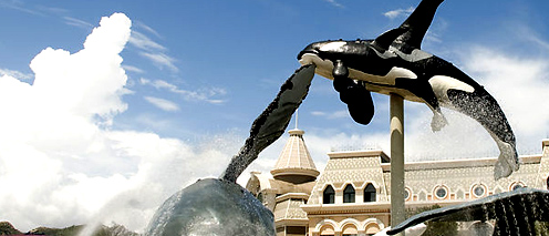 杭州品牌設計 只為給您打造&ldquo;昂貴&rdquo;的品牌