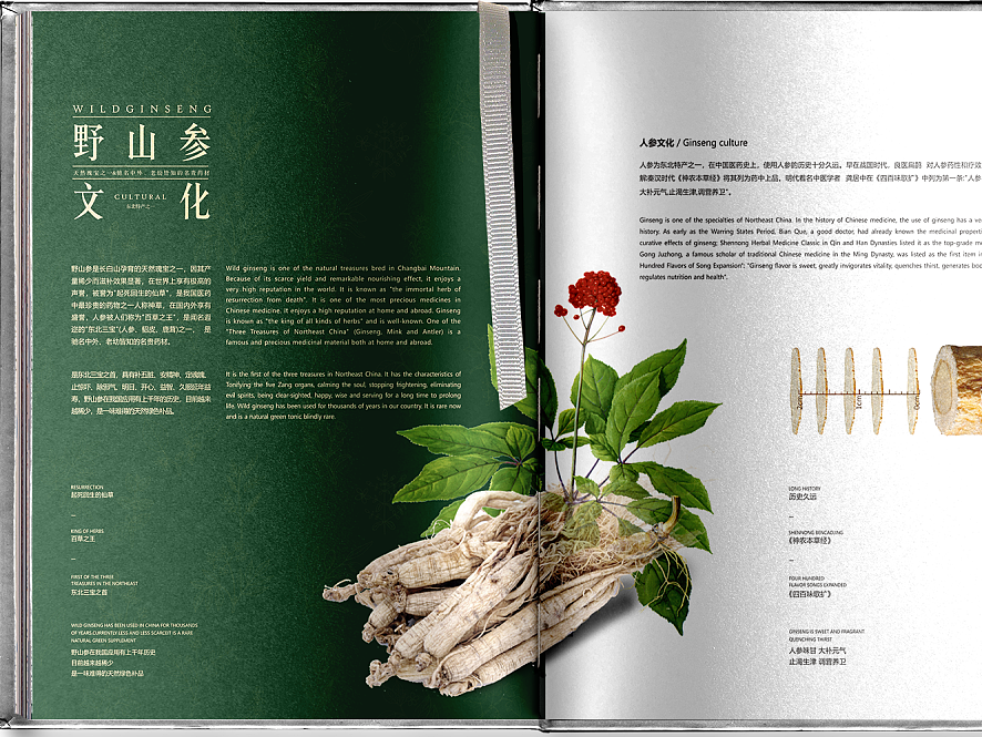 餐飲店宣傳冊(cè)設(shè)計(jì)吸引消費(fèi)者的主要原因