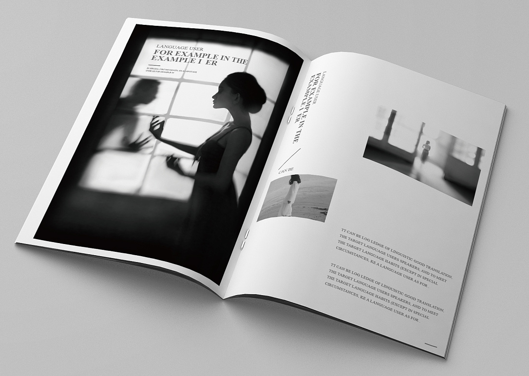 畫(huà)冊(cè)設(shè)計(jì)的總體思路