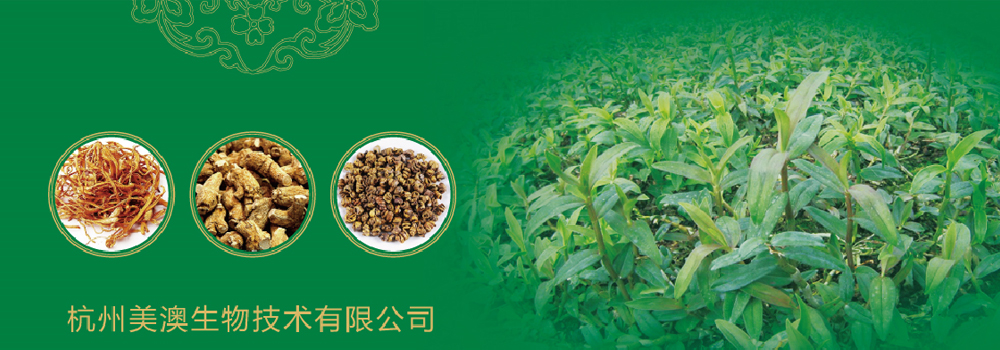 杭州產(chǎn)品策劃公司的市場渠道