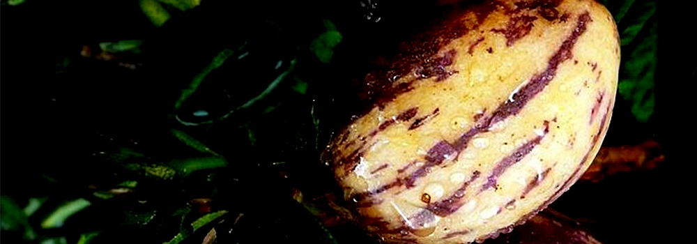 杭州海報設計公司實用設計寶典