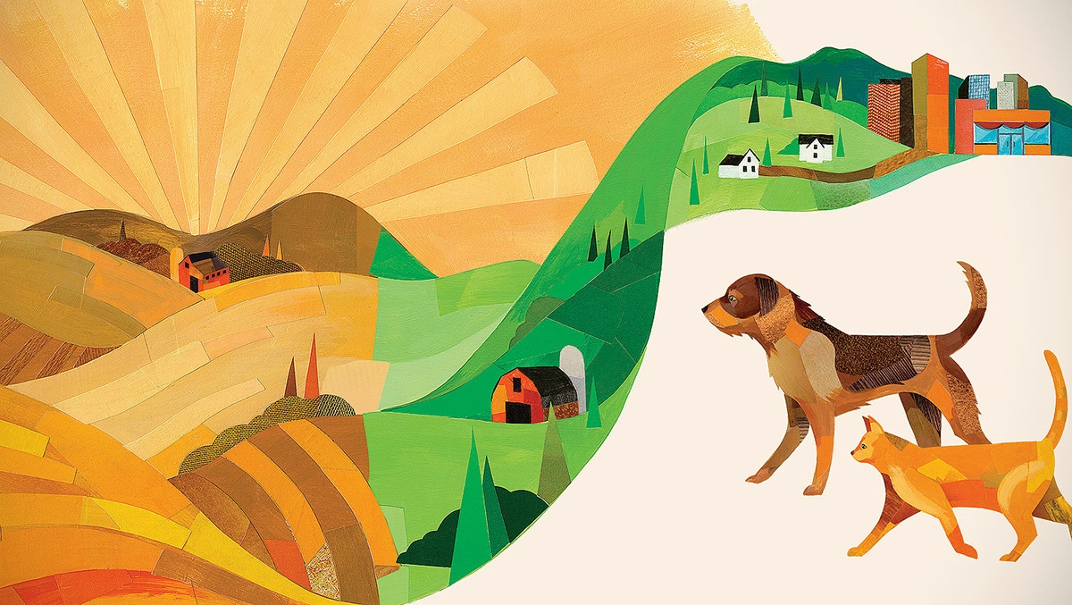 寵物食品也講究大自然，包裝設(shè)計(jì)怎敢馬虎！（寵物生活大爆炸）