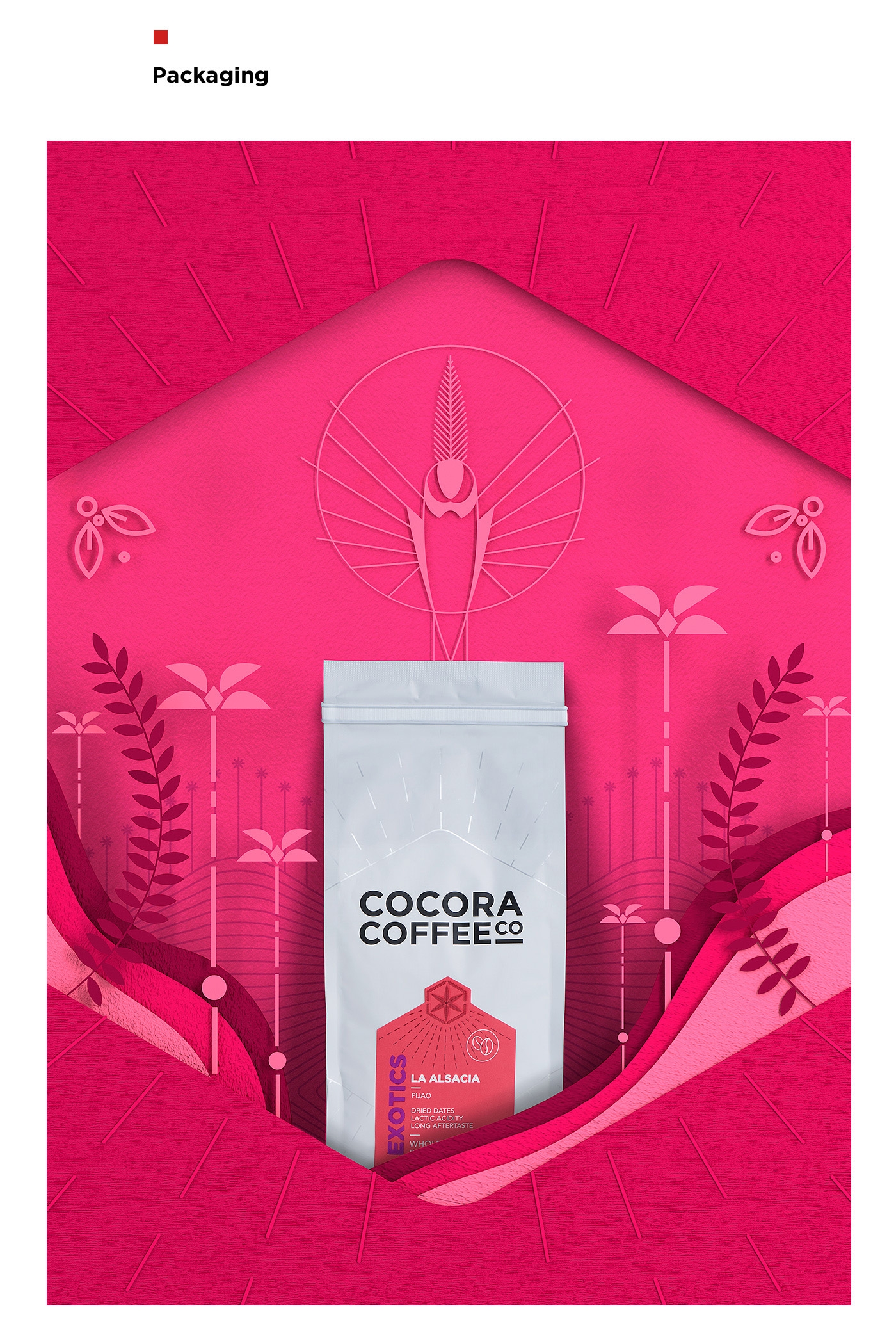 為一個咖啡杯，一個街角咖啡店，做整體的品牌包裝設計